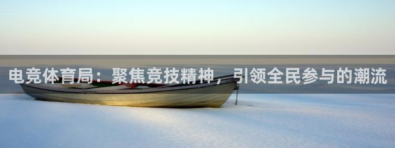 雷火电竞体育官网：电竞体育局：聚焦竞技精神，引领全民参与的潮流