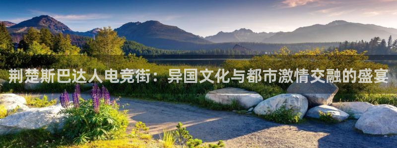 雷火电竞平台登录：荆楚斯巴达人电竞街：异国文化与都市激情交融的盛宴