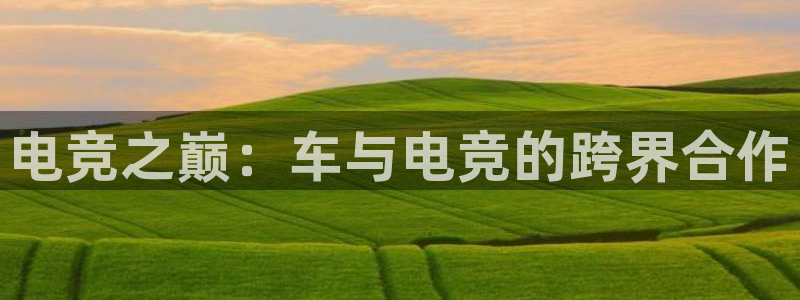 雷火电竞平台