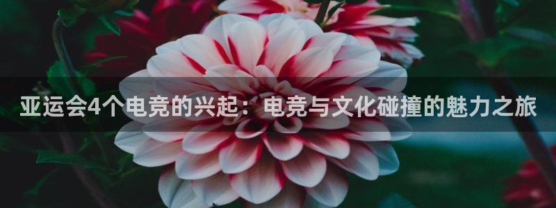 雷火电竞贴吧：亚运会4个电竞的兴起：电竞与文化碰撞的魅力之旅