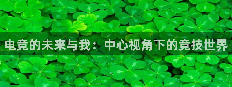 雷火电竞热门赛事有哪些：电竞的未来与我：中心视角下的竞技世界
