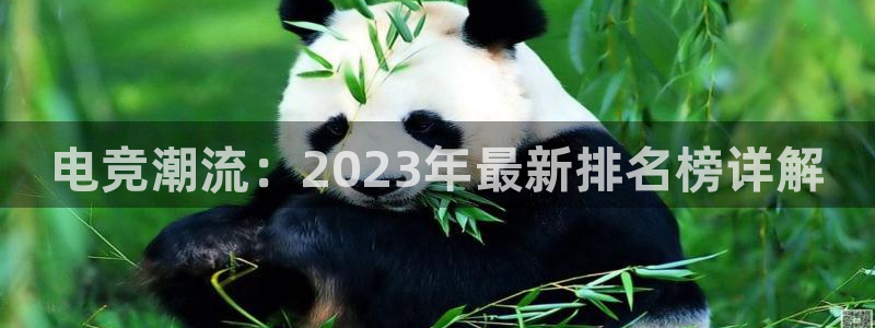 雷火电竞网：电竞潮流：2023年最新排名榜详解