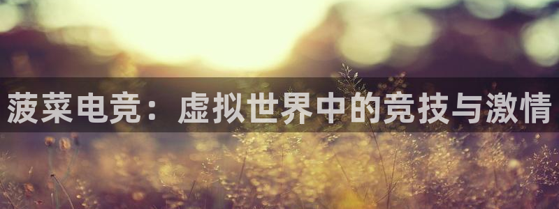 雷火电竞直播：菠菜电竞：虚拟世界中的竞技与激情