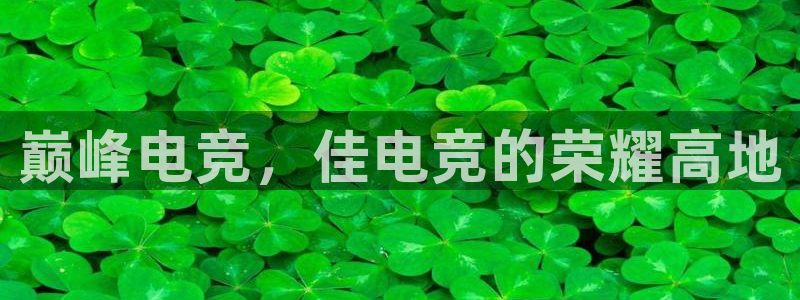 下载雷火电竞app：巅峰电竞，佳电竞的荣耀高地