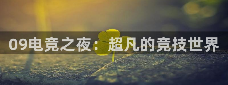雷火电竞在线登录官网：09电竞之夜：超凡的竞技世界