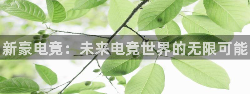 雷火电竞PC：新豪电竞：未来电竞世界的无限可能