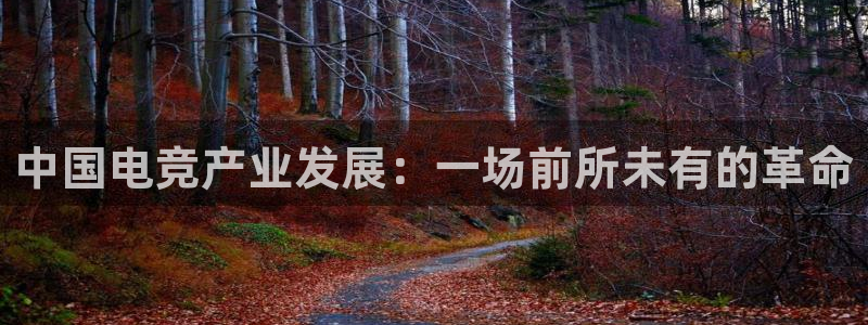 下载雷火电竞app：中国电竞产业发展：一场前所未有的革命