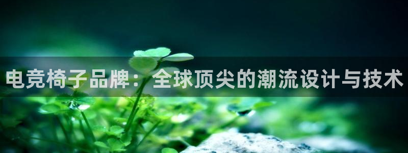 雷火电竞审核多长时间：电竞椅子品牌：全球顶尖的潮流设计与技术