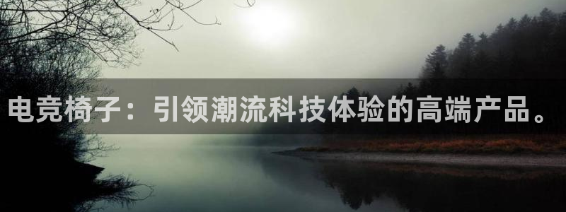 雷火电竞链接：电竞椅子：引领潮流科技体验的高端产品。