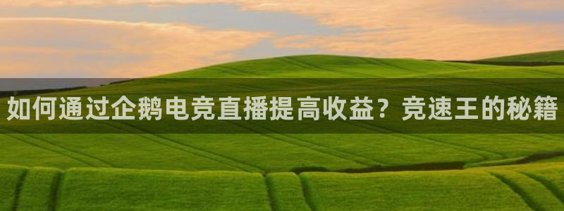 雷火电竞app最新版下载：如何通过企鹅电竞直播提高收益？竞速王的秘籍