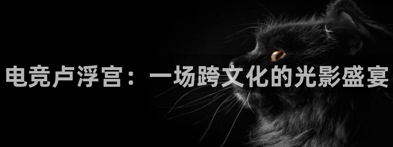 雷火电竞竞技平台官网：电竞卢浮宫：一场跨文化的光影盛宴