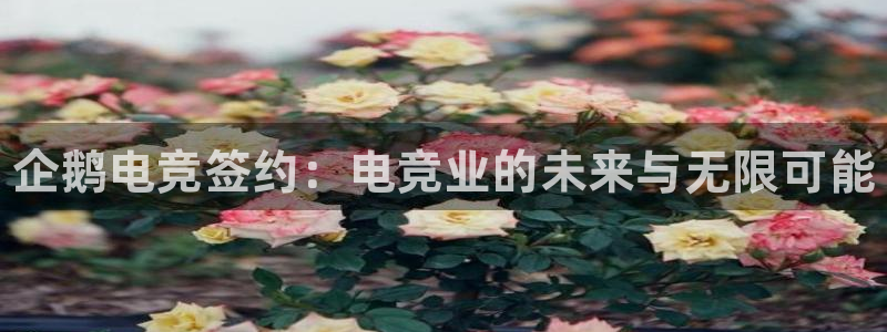 雷火电竞官网app下载：企鹅电竞签约：电竞业的未来与无限可能