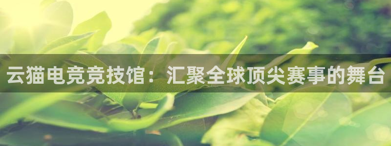 雷火电竞官网下载：云猫电竞竞技馆：汇聚全球顶尖赛事的舞台