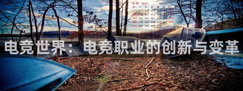 雷火电竞app官网：电竞世界：电竞职业的创新与变革