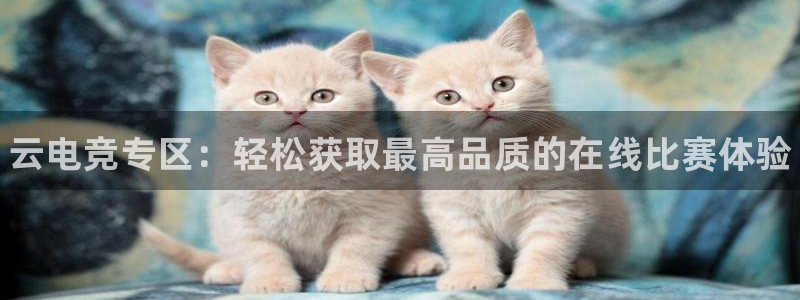 雷火电竞体育：云电竞专区：轻松获取最高品质的在线比赛体验