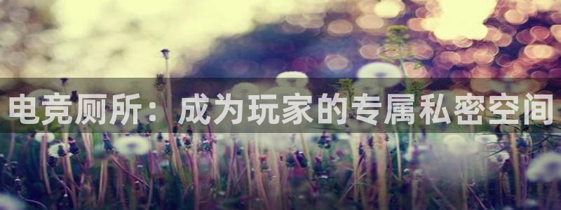 雷火电竞app最新版下载：电竞厕所：成为玩家的专属私密空间