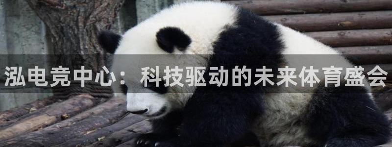 雷火电竞官网下载：泓电竞中心：科技驱动的未来体育盛会