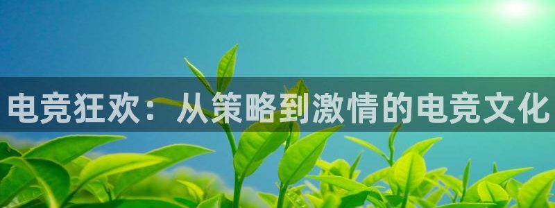 e8125雷火电竞官网：电竞狂欢：从策略到激情的电竞文化