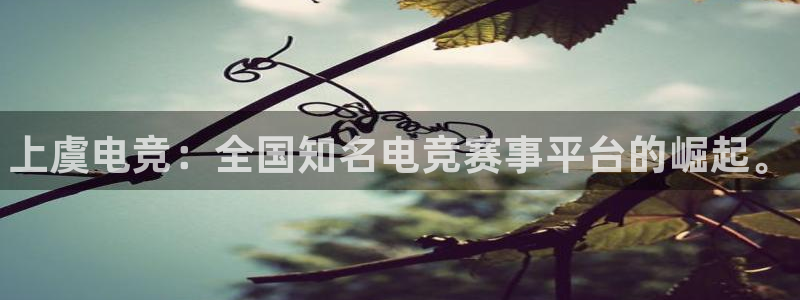 雷火电竞合法吗：上虞电竞：全国知名电竞赛事平台的崛起。