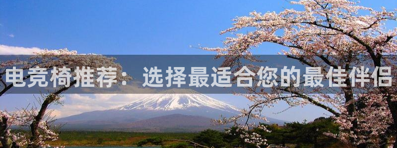 雷火电竞体育官网：电竞椅推荐：选择最适合您的最佳伴侣