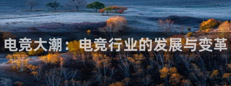 雷火电竞是什么：电竞大潮：电竞行业的发展与变革