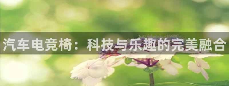 雷火电竞赏金赛赚钱版：汽车电竞椅：科技与乐趣的完美融合