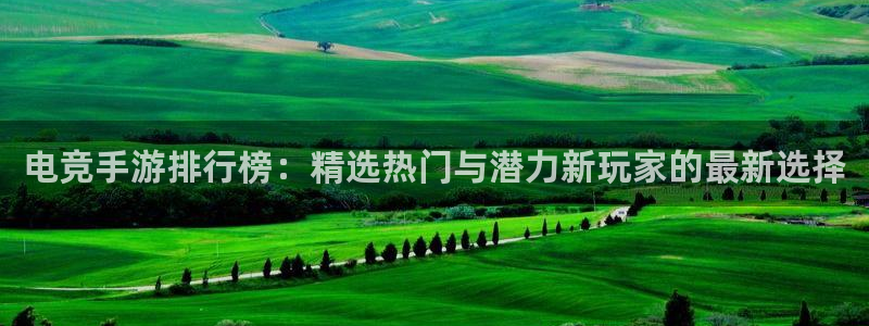 雷火电竞官网下载：电竞手游排行榜：精选热门与潜力新玩家的最新选择