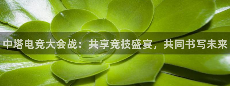 雷火电竞入口：中塔电竞大会战：共享竞技盛宴，共同书写未来