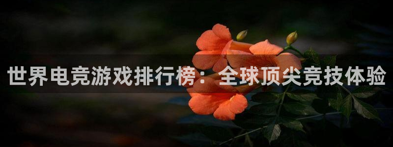 雷火电竞在线：世界电竞游戏排行榜：全球顶尖竞技体验
