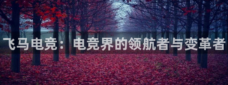 雷火电竞app：飞马电竞：电竞界的领航者与变革者