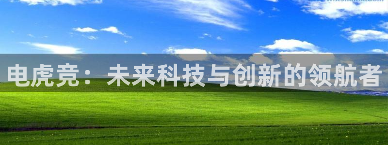 雷火电竞官网登录：电虎竞：未来科技与创新的领航者