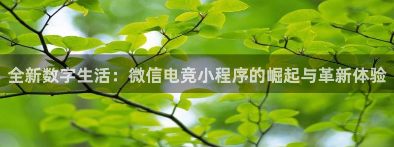 雷火电竞app官方网站：全新数字生活：微信电竞小程序的崛起与革新体验