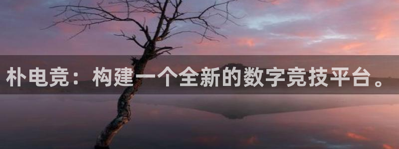 雷火电竞官网入口：朴电竞：构建一个全新的数字竞技平台。
