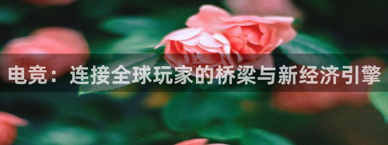 雷火电竞app：电竞：连接全球玩家的桥梁与新经济引擎