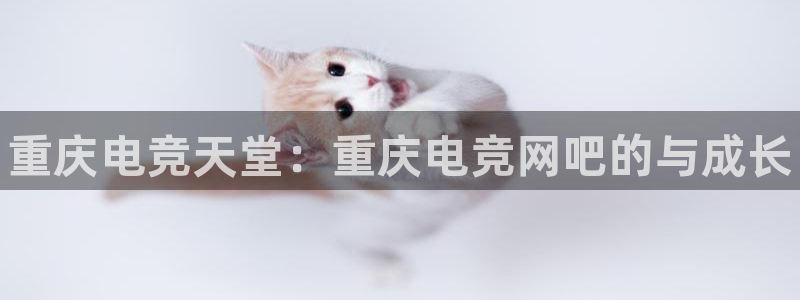 雷火电竞合法吗：重庆电竞天堂：重庆电竞网吧的与成长