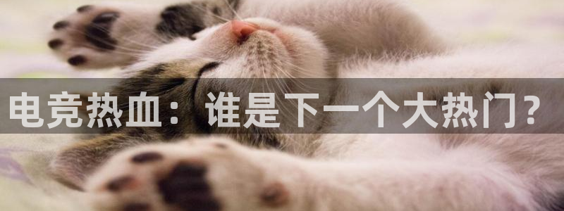 雷火电竞风控：电竞热血：谁是下一个大热门？
