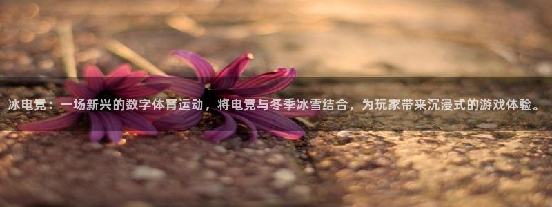 雷火电竞直播：冰电竞：一场新兴的数字体育运动，将电竞与冬季冰雪结合，为玩家带来沉浸式的游戏体验。