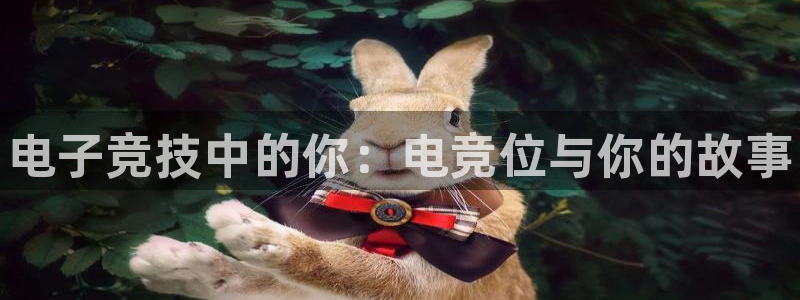 雷火电竞入口官网：电子竞技中的你：电竞位与你的故事