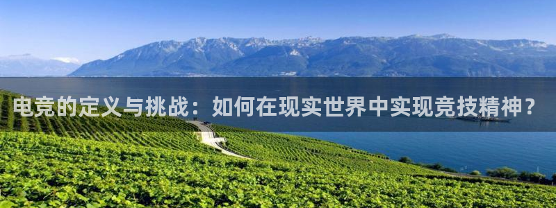 雷火电竞赏金赛赚钱版：电竞的定义与挑战：如何在现实世界中实现竞技精神？