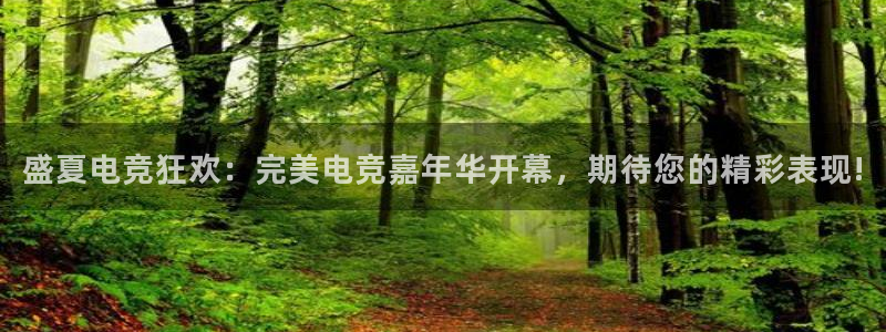 雷火电竞俱乐部：盛夏电竞狂欢：完美电竞嘉年华开幕，期待您的精彩表现!
