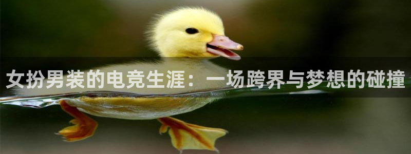 雷火电竞：女扮男装的电竞生涯：一场跨界与梦想的碰撞