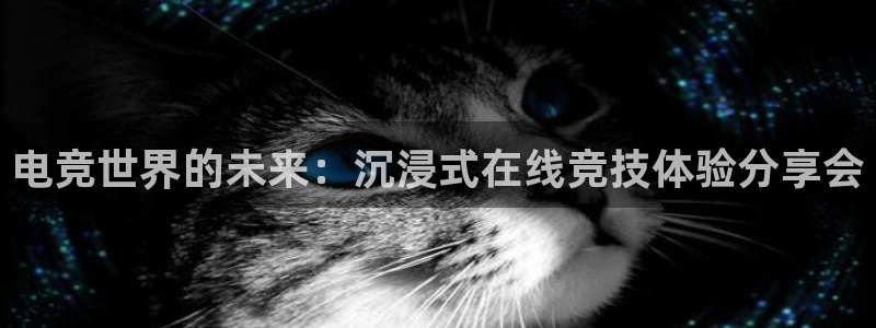 雷火电竞app官方网站：电竞世界的未来：沉浸式在线竞技体验分享会