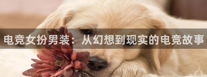 雷火电竞LH官网入口：电竞女扮男装：从幻想到现实的电竞故事